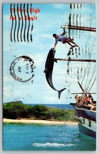 1969  Oahu  Hawaii   Sea Life Park  Postcard