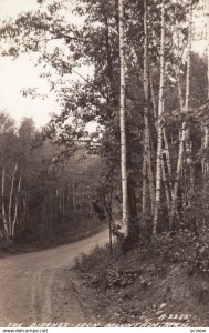 RP: The Birches , IRON MOUNTAIT , Michigan , 1942