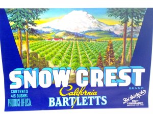 Snow Crest Bartlett Pears Mountain Valley Vintage Crate Label 1950's Original