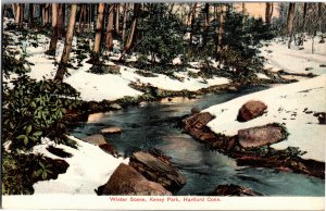 Winter Scene, Keney Park, Hartford CT Vintage Postcard Y14