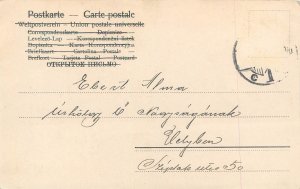 B581 Anthropomorphic drawn pigs playing on ice New Year luck greetings c.1902