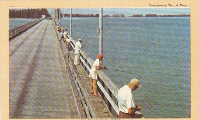 Florida Fishing Off The Causeway Dexter Press