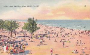 Florida Miami Beach Palms Sand And Surf