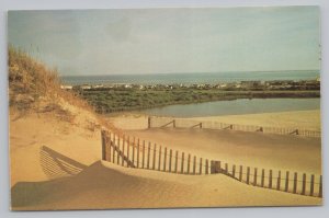 State View~Sand Dunes of Cape Cod Massachusetts~Vintage Postcard