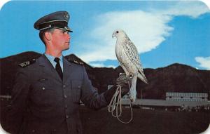 Colorado Springs Colorado~Cadet & Falcon~US Airforce Academy~1950s Postcard