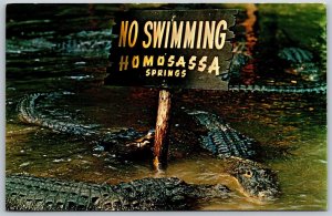 Vtg Florida FL Gator Lagoon Homosassa Springs Postcard