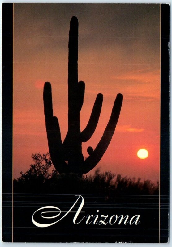 Postcard - Saguaro Cactus - Arizona