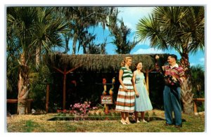 SILVER SPRINGS, FL ~ Roadside Ross Allen's REPTILE INSTITUTE  c1950s Postcard