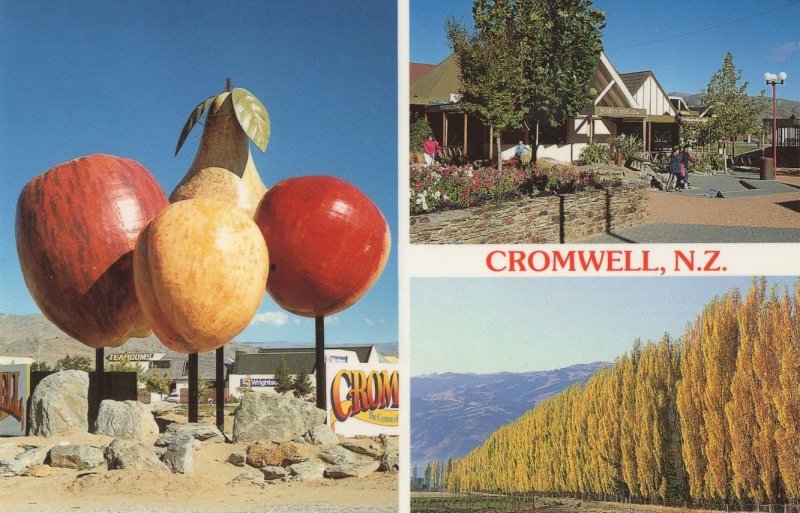 Cromwell Shopping Mall New Zealand Postcard