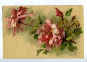 215833 ROSE Dog-Rose Flowers by C. KLEIN Vintage postcard