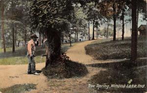 Winona Lake Indiana Tree Spring Tapping Scene Antique Postcard K23437