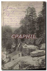 Old Postcard Corsica La Foret De Vizzavona