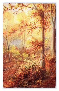 Autumn Woods c1910 Postcard