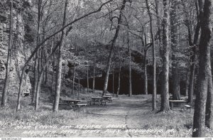 RP: MAQUOKETA, Iowa, PU-1954; Picnic Ground and Natural Bridge, Maquoketa Cav...