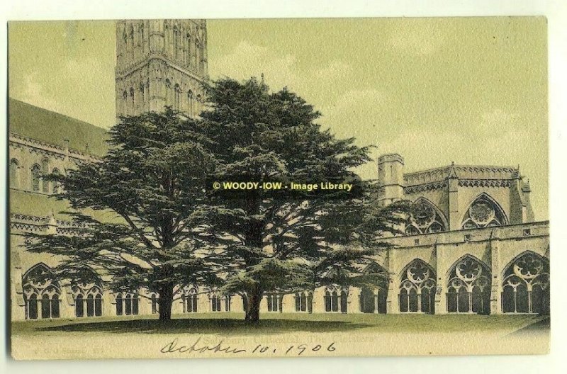 tp2084 - The Cathedral , Salisbury , Wiltshire - FGO Stuart postcard 