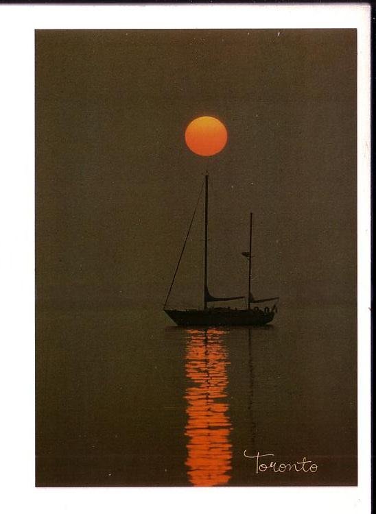 Sailboat, Toronto, Ontario, Large, 5 X 7 Postcard,