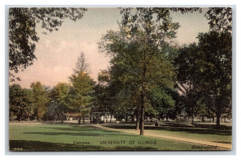 View of Campus University Of Illinois Chapaign IL UNP Albertype Postcard Y2
