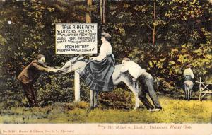 Delaware Water Gap Pennsylvania Lovers Retreat Donkey Riding Postcard K101229