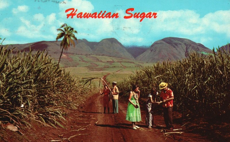 Vintage Postcard Hawaiian Raw Sugar Field Green Carpet Rich Volcanic Soil Hawaii