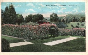 Vintage Postcard 1928 Rose Flower Garden Landscape Pergola Pasadena California