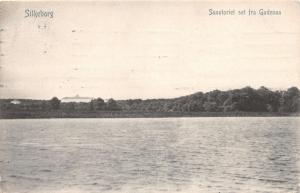 SILKEBORG DENMARK DANEMARK SANATORIET SET FRA GUDENA RIVER POSTCARD c1910