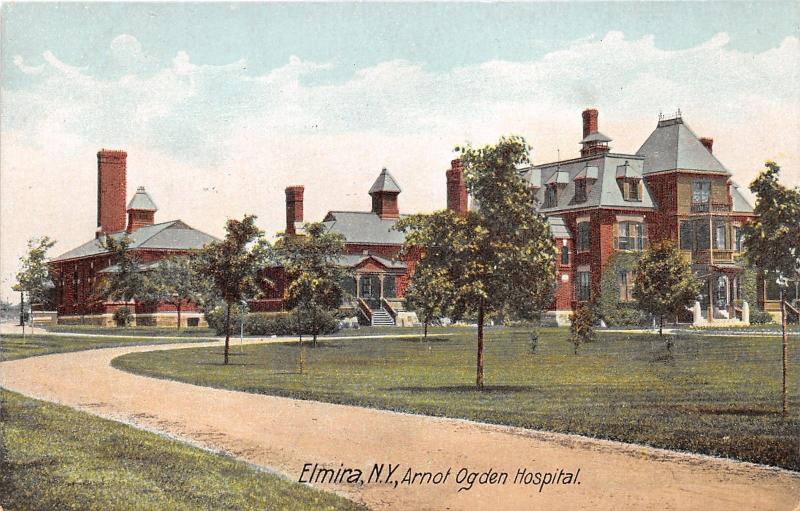 Elmira New York~Arnot Ogden Hospital~Lots of Trees in Front Yard~c1910 Postcard