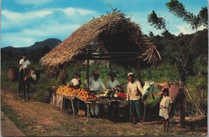 Panama A Typical Native Fruitstand Pan American Highway Vintage Postcard C204