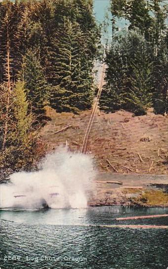 Trees Typical Log Chute In Oregon 1910