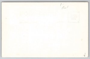 RPPC Redwoods Portal of California's Greatest Playground Patterson Postcard G48