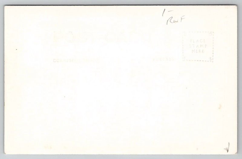 RPPC Redwoods Portal of California's Greatest Playground Patterson Postcard G48