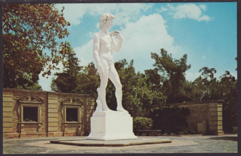 David the Shephard Lad,Statue Postcard