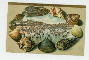1908 Greetings From Connersville IN Postcard Sea Shells People At Beach Glitter