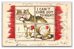 Comic I Can't Come Out Tonight Crying Cat in Window UDB Postcard S3