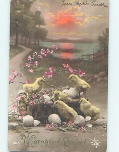 c1910 rppc CUTE EASTER CHICKS SITTING IN BASKET OF EGGS HM1285