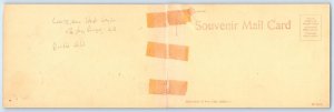 Double Postcard BATON ROUGE, LA ~ Handcolored LOUISIANA STATE UNIVERSITY c1910s