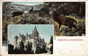 Kahla Germany 1914 Postcard Tagdscloss Hummelshain Castle Elk