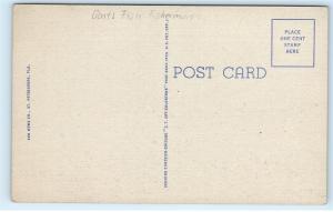 Tarpon Springs Florida Sponges Dock Boats Fish Fishermen Vintage Postcard C93