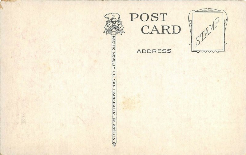 CALIFORNIA c1910 Postcard Private Residence and Grounds Flowers