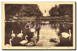 Old Postcard Avignon The Swans Fountain Park