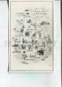 473213 Ceylon pictorial MAP snake turtle elephant Vintage photo postcard