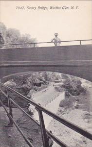 New York Watkins Glen 7947 Sentry Bridge