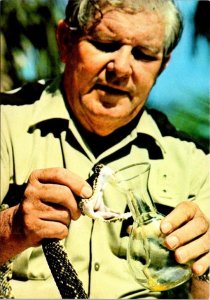 2~4X6 Postcards FL, Florida ST AUGUSTINE ALLIGATOR FARM~ROSS ALLEN MILKING SNAKE