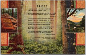 North Carolina NC, Joyce Kilmer Memorial Forest, Trees, Poem, Vintage Postcard