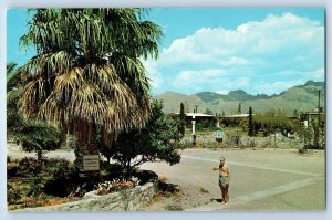 1960 Tucson Arizona Postcard Catalina Foothills Lodge Oracle Road Typical Scene
