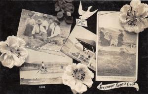 Steamboat Springs CO~4 Views-Cooking Eggs-Ladies w Dog-Milk Spring~Flowers~RPPC