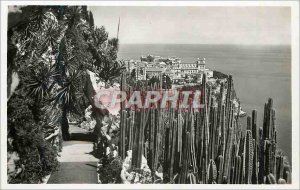 Postcard Modern Jardin Exotique de Monaco view Monaco Cereus marginatus and v...