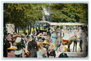 1907 Pony Carriages Lincoln Park Chicago Illinois IL Posted Antique Postcard