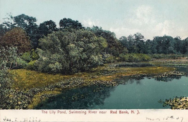 Postcard The Lily Pond Swimming RIver near Red Bank NJ