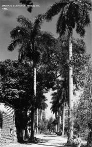 PAISAJE CUAHUTLA MORELOS MEXICO REAL PHOTO 1940s POSTCARD