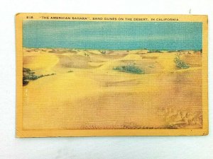Vintage Postcard 1930's The American Sahara Sand Dunes on the Desert CA
